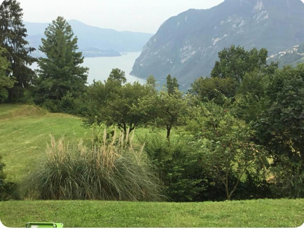Little Paradise - Iseo Lake Solto Collina المظهر الخارجي الصورة